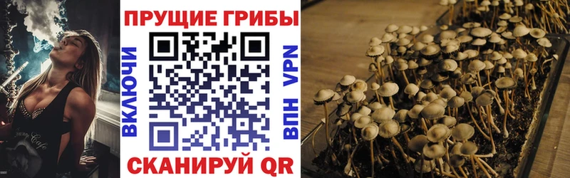 Галлюциногенные грибы мухоморы  как найти наркотики  Вытегра 